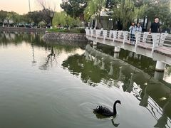 -上海交通大学(闵行校区)