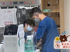 -谐和贝康宠物医院24小时·宠保定点(急重症转诊中心)
