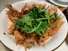 椒麻油爆活虾-佬肥猫·浙江乡村菜(国华广场店)