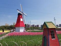 -菊园百果园