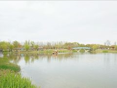 -上海长兴岛郊野公园