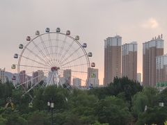 -东方削面(迎泽街店)