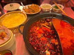 -朱光玉火锅馆(正弘城店)