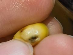 -米村拌饭(杭州国大城市广场店)