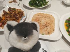 -琬苑鸽庄·川粤融合菜(解放碑总店)