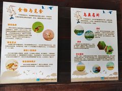 -长广溪湿地公园