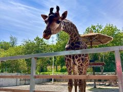 -水上乐园·欢乐世界