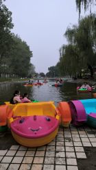 -上美四季动物农场
