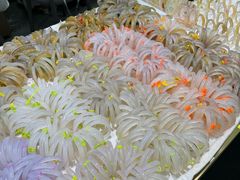 -玉雕湾国际玉城-石佛寺