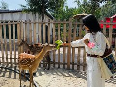 -水上乐园·欢乐世界