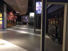 -新影联·华谊兄弟影院(望京店)
