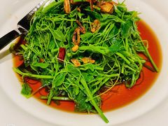 -遇外滩(BFC外滩金融中心店)