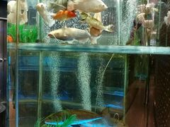 水产区-稻香酒家·33年老字号·港式粤菜(富邦中心店)