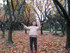 -苏州河梦清园环保主题公园