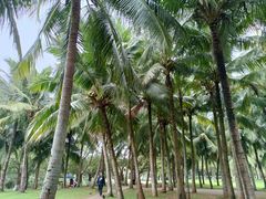 -白沙门生态公园