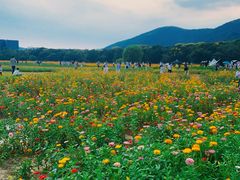 -长广溪湿地公园