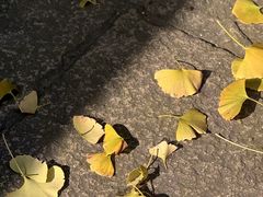 -无锡惠山寺