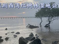 -宝安西湾红树林湿地公园