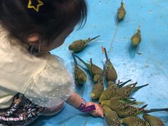 -嘉文梦想世界(SM天津滨海城市广场店)