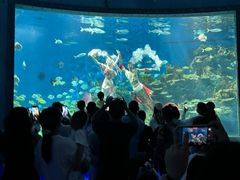 -海合安武汉极地海洋公园