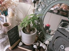 -Natie(宝龙店)
