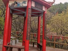 -金龙寺国家森林公园