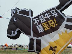 -潍坊滨海云门国际风筝放飞场