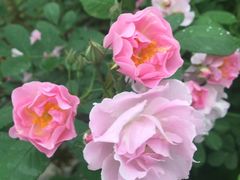 -白鹭湾湿地公园