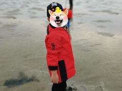 -红树林天天赶海