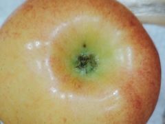 -学习谷日语培训日本留学·多语种外语教学(海淀人大分部)