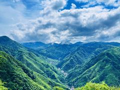 -藏龙百瀑风景区
