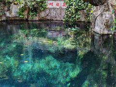 -蝴蝶泉公园