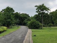 -上海滨江森林公园