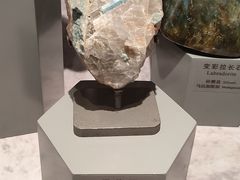 -正佳自然科学博物馆