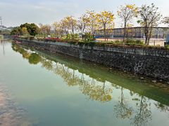 -长洲岛