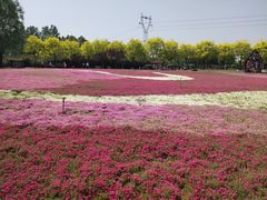 -石家庄市植物园