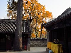 -龙泉寺