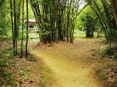 -大屏嶂森林公园
