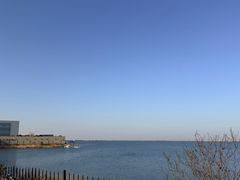 -江滩湿地公园