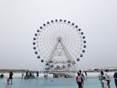 -秦皇岛乐岛海洋王国