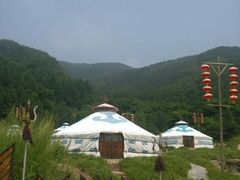 android_upload_pic-贡格尔草原