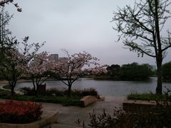 -新江湾城公园
