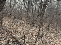 -沈阳辉山风景区