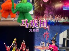 -灵玲国际马戏城