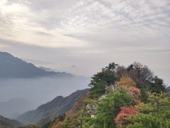 -西安祥峪森林公园