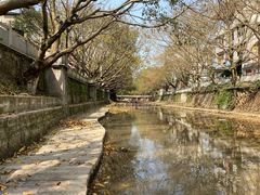 -偏岩古镇