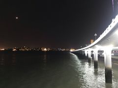 -演武大桥观景平台