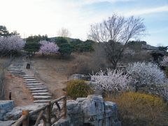 -北京西山国家森林公园