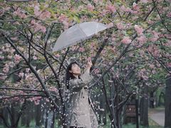 -共青国家森林公园-售票处