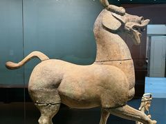 -广西壮族自治区博物馆